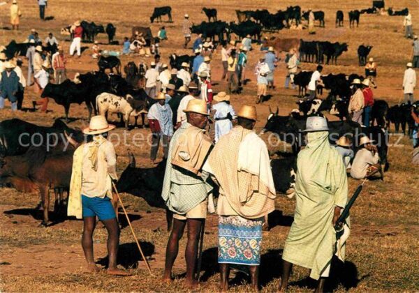Typen Afrika Marchand des Boeufs Madagaskar