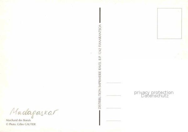 Typen Afrika Marchand des Boeufs Madagaskar – Bild 2