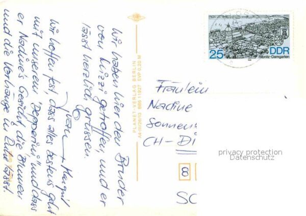 Katzen – Bild 2