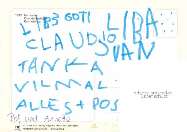 Katzen Cat Chat – Bild 2