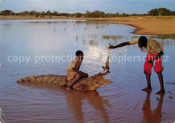 Krokodile Afrika Kinder