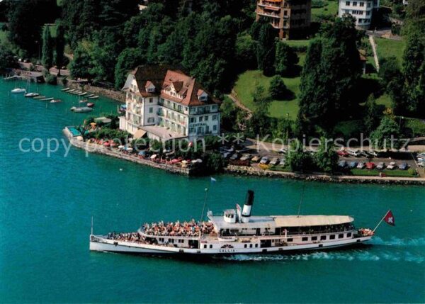 Dampfer Seitenrad Gallia Hotel Central am See Weggis Vier