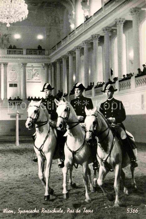 Reitsport Pferdesport Pferderennen Wien Spanische Reitschule Pas de Trois
