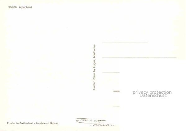 Kuehe Ziegen Alpabfahrt – Bild 2