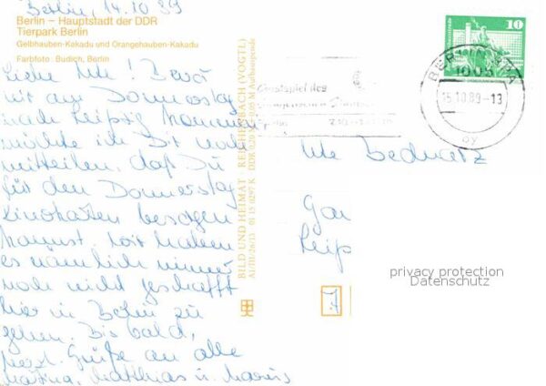 Voegel Gelbhauben-Kakadu Orangehauben Kakadu T – Bild 2