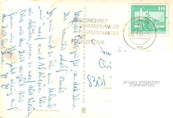 Hunde Kleinpudel – Bild 2