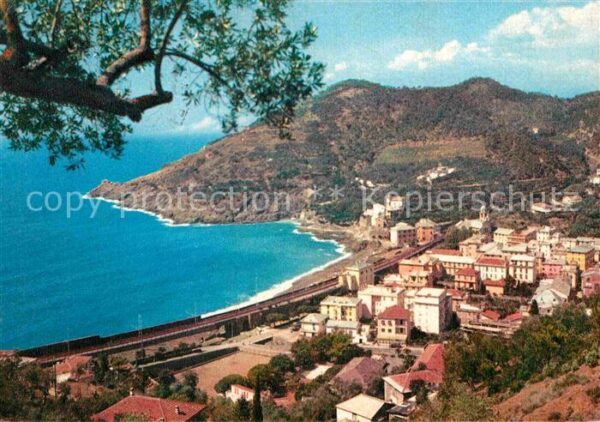 Bonassola Panorama