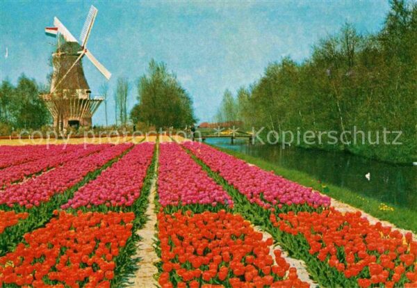 Lisse Keukenhof Windmühle