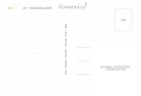 Lisse Keukenhof Windmühle – Bild 2