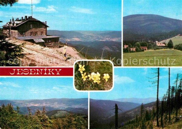 Jeseniky Chata Jiriho Ramzova Violka sudetska Se