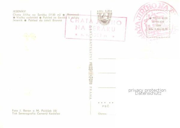 Jeseniky Chata Jiriho Ramzova Violka sudetska Se – Bild 2