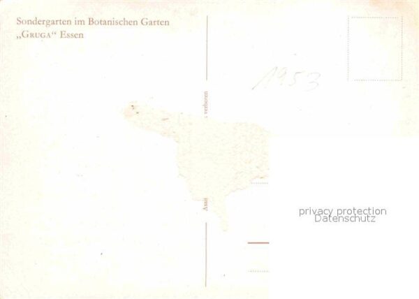 Essen Ruhr Grugapark Botanischer Garten – Bild 2