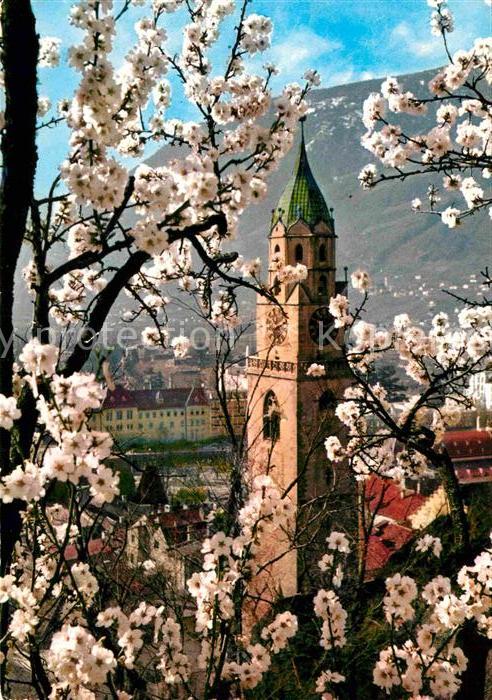 Merano Meran Frühlingsblüte Kirche