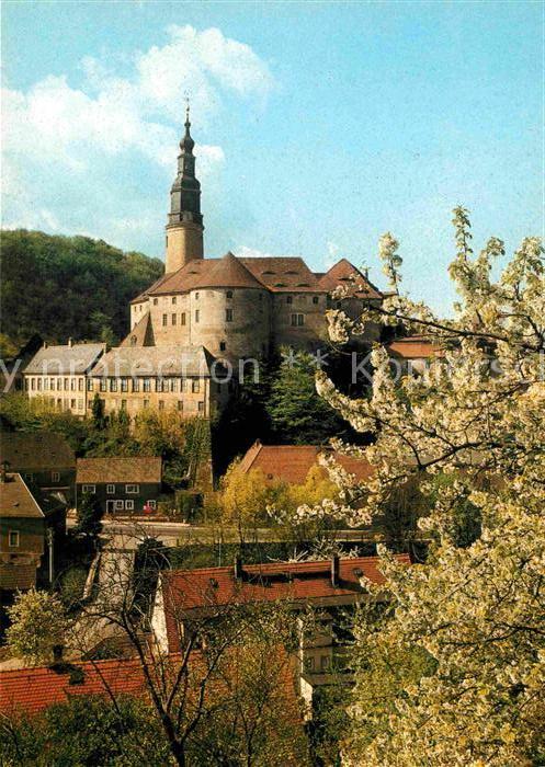 Weesenstein Schloss Baumblüte