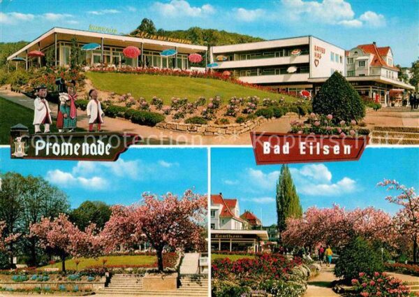 Bad Eilsen Kurhaus Park Baumblüte