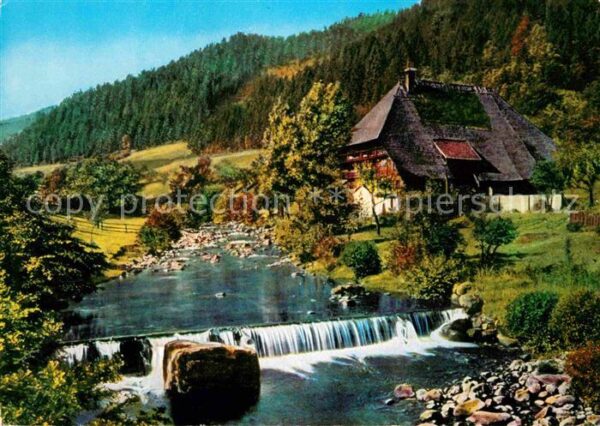 Hornberg Schwarzwald Schwarzwaldbauernhaus Bachlauf Wasserfa