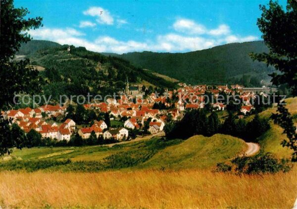 Wallenfels Oberfranken Panorama Frankenwald