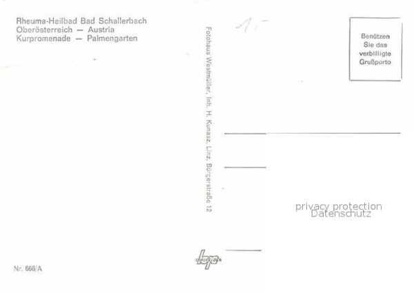 Bad Schallerbach Rheuma Heilbad Kurpromenade Palmengarte – Bild 2