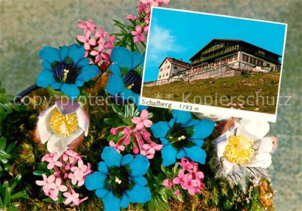 St Wolfgang Wolfgangsee Berghotel Restaurant auf dem Schafberg