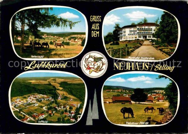 Neuhaus Solling Teilansicht Parkhotel Düsterdiek Trakeh