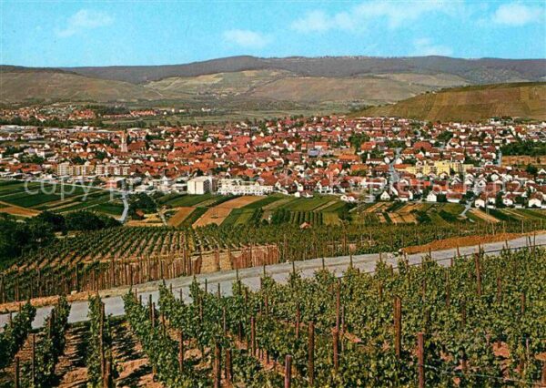 Beutelsbach Weinstadt Panorama
