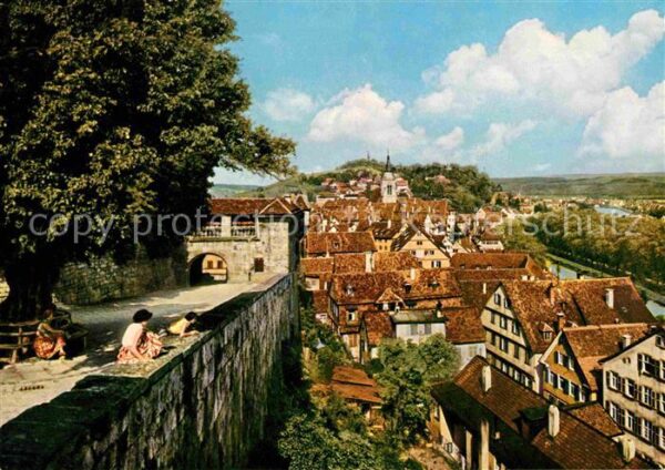 Tuebingen Blick von der Schlosslinde