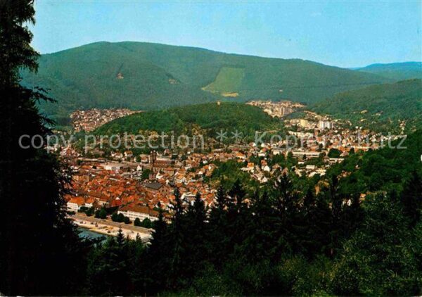 Eberbach Neckar Panorama