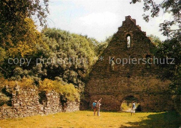 Nossen Klosterruine Altzella