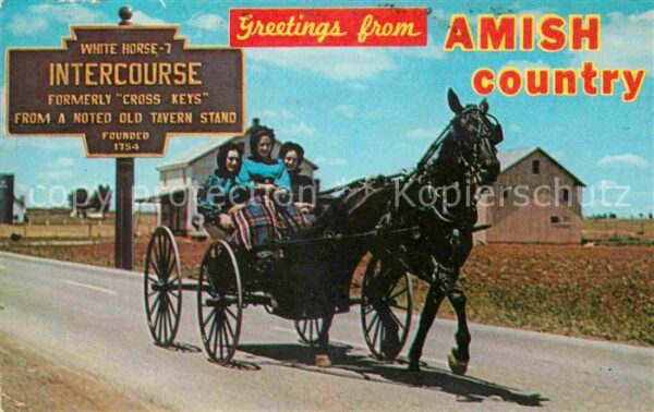 Pferdekutschen Amish Country Horse and Buggy