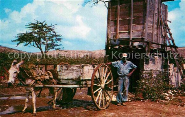 Landwirtschaft Primitive water transportation Eselkarr