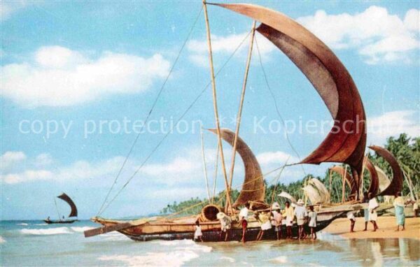 Fischerei Fishing Catamaran Boats Ceylon