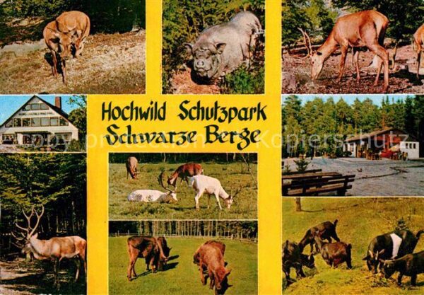 Tiere Hochwild-Schutzpark Schwarze Berge Vahr