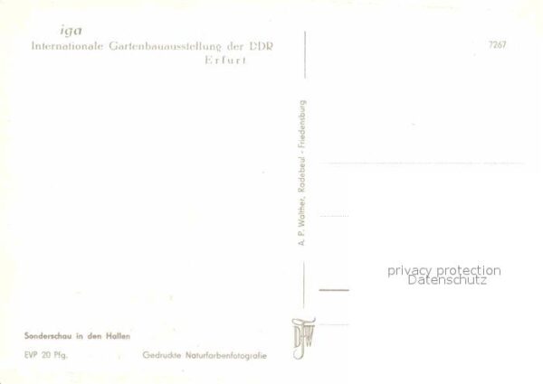 Gartenbauaustellung IGA Erfurt Blumen Sonderschau Halle – Bild 2