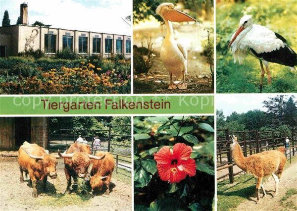 Tiere Tiergarten Falkenstein Tropenhaus Rosap