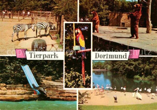 Tiere Tierpark Dortmund Zebra Papagei Braunbä