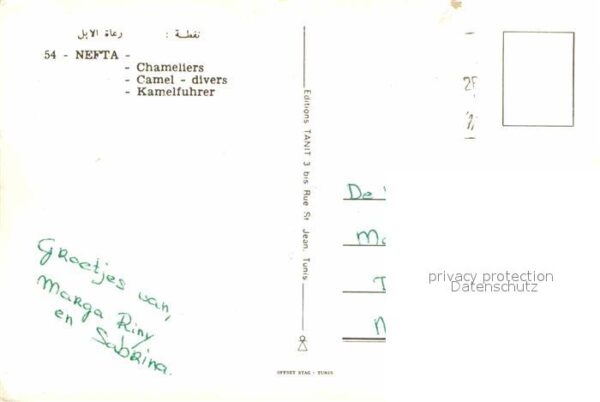 Kamel  Camel Chameau Nefta Chameliers – Bild 2