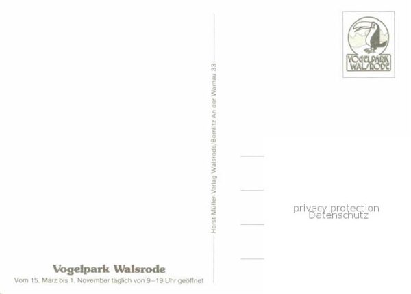 Voegel Vogelpark Walsrode Flamingo Papagei – Bild 2