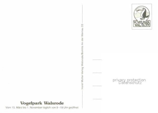 Voegel Vogelpark Walsrode Blauer Pfau Papagei – Bild 2