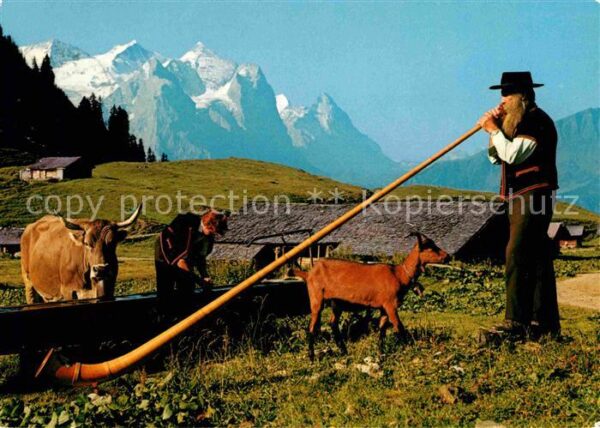 Alphorn Alphornbläser Wetterhorn Eiger Kuh Zieg