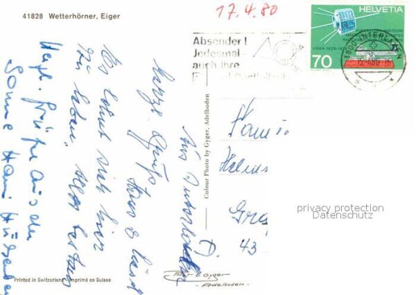 Alphorn Alphornbläser Wetterhorn Eiger Kuh Zieg – Bild 2
