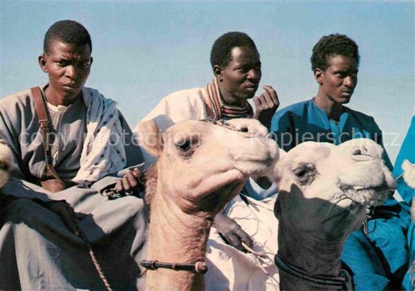 Typen Afrika Kamele Kameltreiber Fleuve-Region