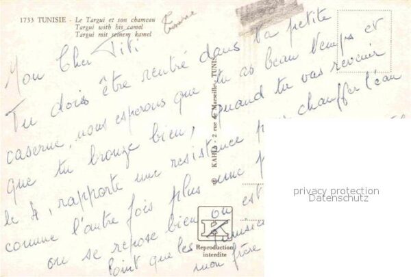 Kamel  Camel Chameau Tunisie Targui Chameau – Bild 2