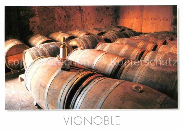 Wein Vignoble Weinkeller