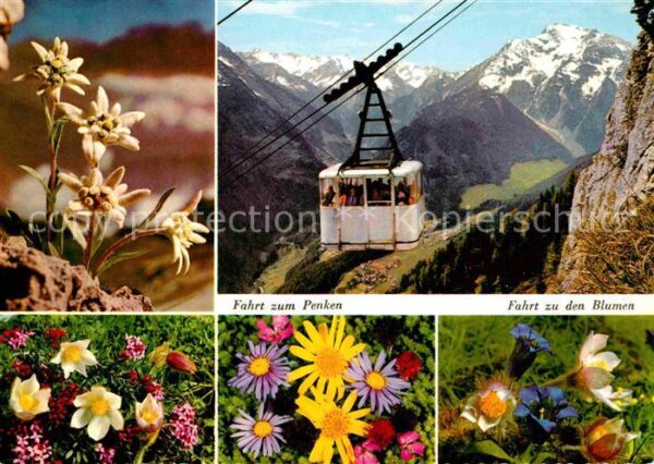 Seilbahn Penkenbahn Zillertal Grünberg Edelweiss