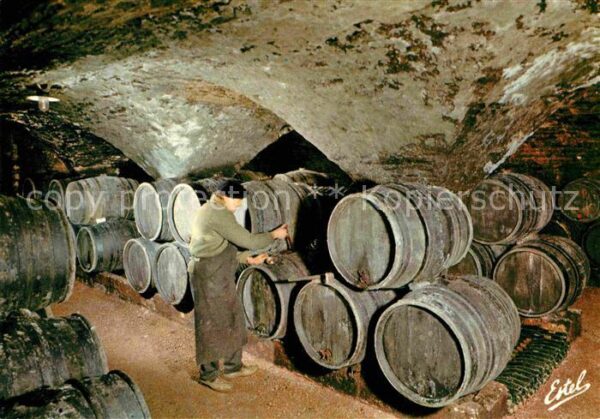 Wein Bourgogne Vieille Cave Santenay