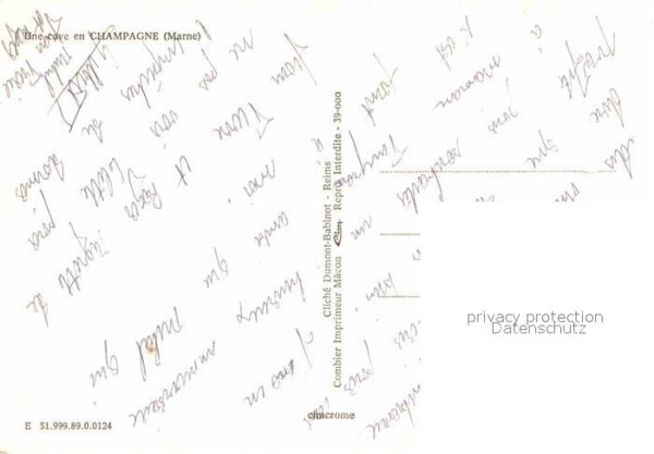 Wein Cave Champagne Marne – Bild 2