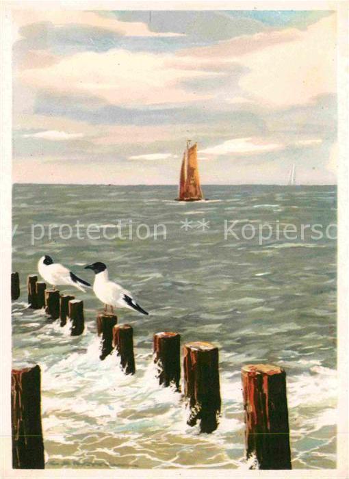 Kuenstlerkarte Möwen Segelboot