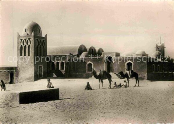 Kamel  Camel Chameau Bordj dans le Desert