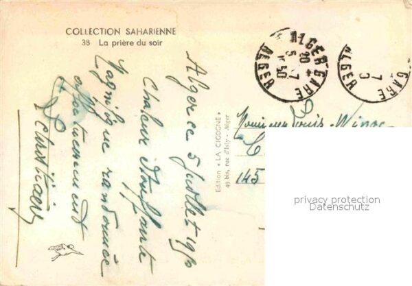 Kamel  Camel Chameau Priere du Soir – Bild 2