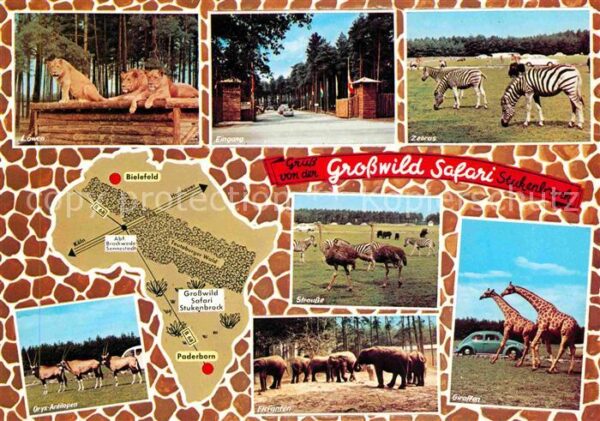 Tiere Grosswild-Safari Stukenbrock Giraffe St